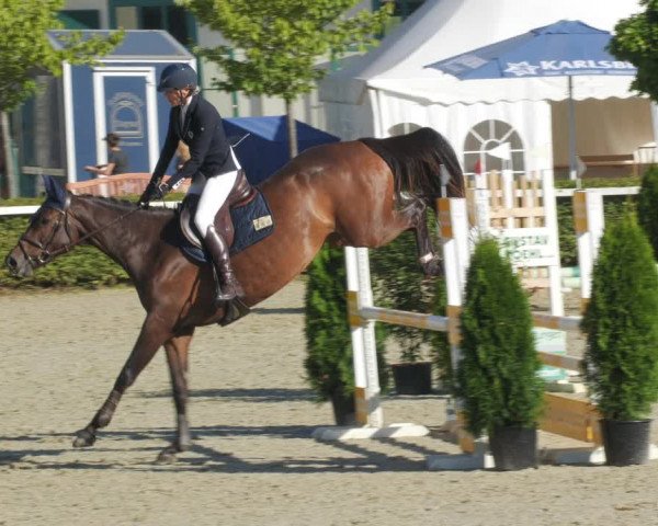 Reitturnier St.Wendel, Gestüt Welvert 2022