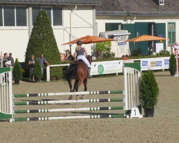 Reitturnier St.Wendel, Gestüt Welvert 2022