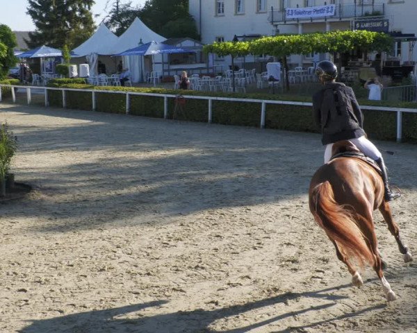 Reitturnier St.Wendel, Gestüt Welvert 2022
