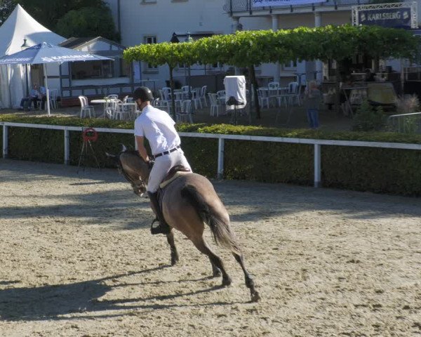 Reitturnier St.Wendel, Gestüt Welvert 2022