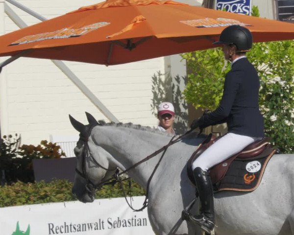 Reitturnier St.Wendel, Gestüt Welvert 2022