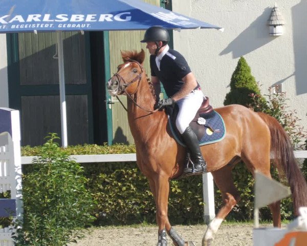 Reitturnier St.Wendel, Gestüt Welvert 2022