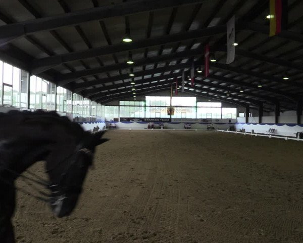 Reitturnier Münster-Albachten 2022