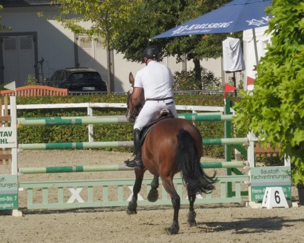 Reitturnier St.Wendel, Gestüt Welvert 2022