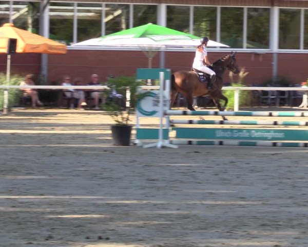 Reitturnier Werne 2022