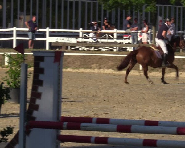 Reitturnier Werne 2022