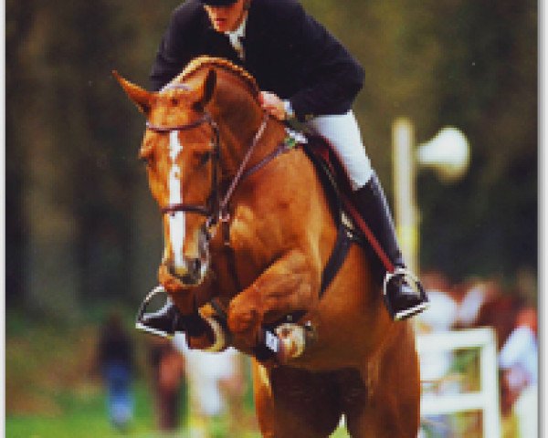 broodmare Kareta (Holsteiner, 1995, from Alcatraz) broodmare Kareta (Holsteiner, 1995, from Alcatraz)