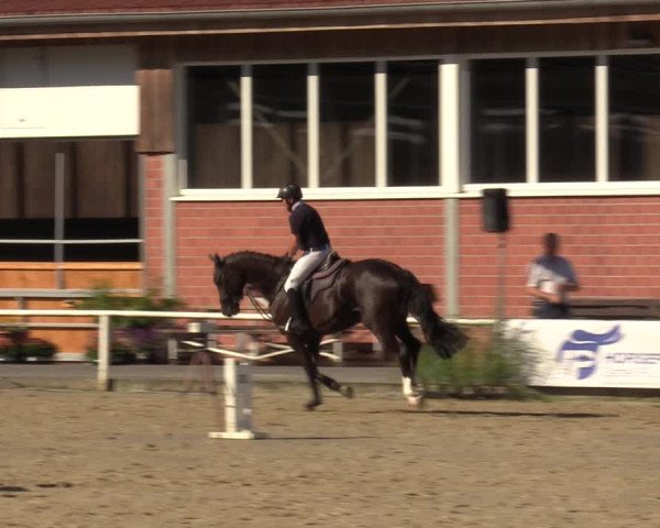 Reitturnier Werne 2022