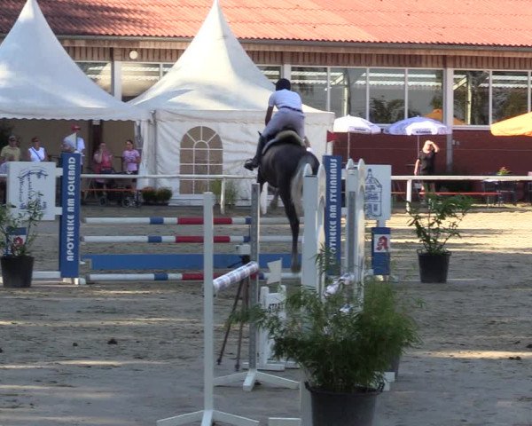 Reitturnier Werne 2022