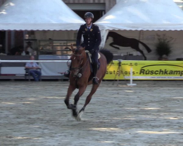 Reitturnier Werne 2022