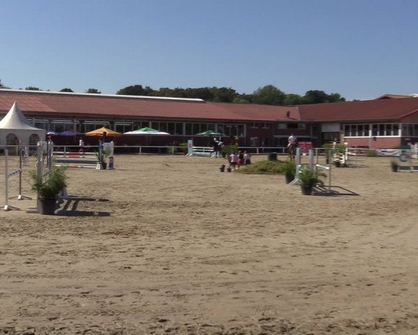 Reitturnier Werne 2022