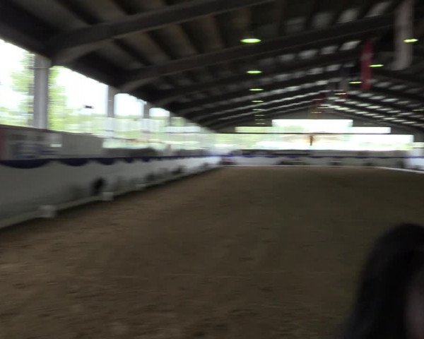 Reitturnier Münster-Albachten 2022