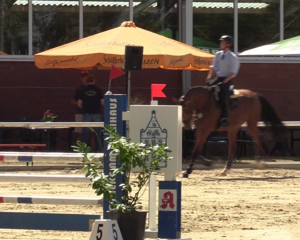 Reitturnier Werne 2022