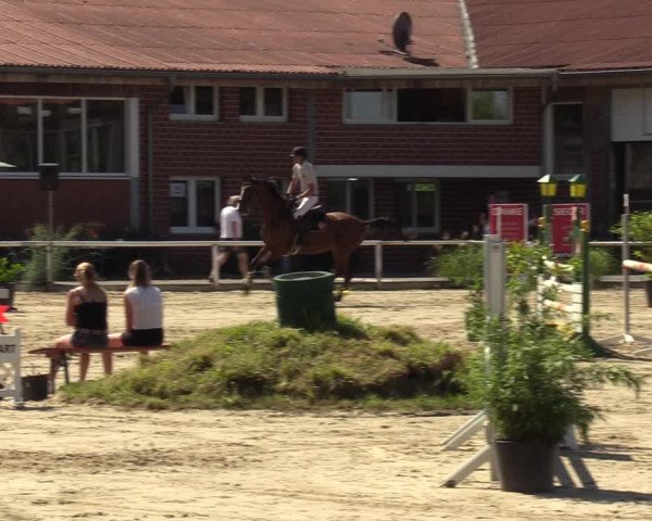 Reitturnier Werne 2022