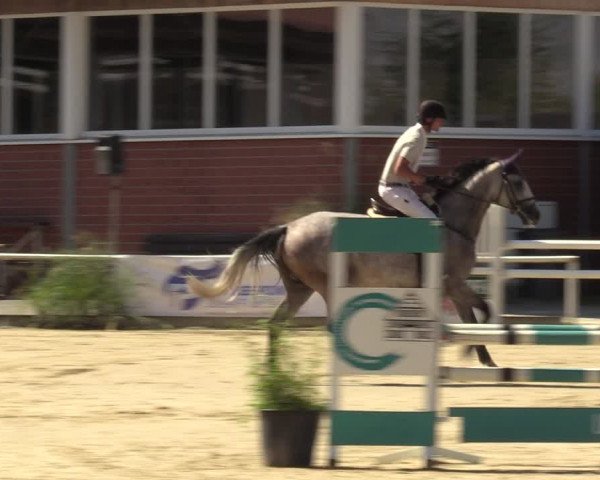 Reitturnier Werne 2022