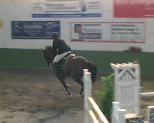 jumper Comoloco (Rhinelander, 2000, from Cosinus B)
