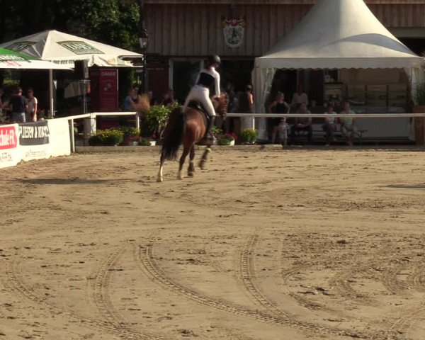 Reitturnier Werne 2022