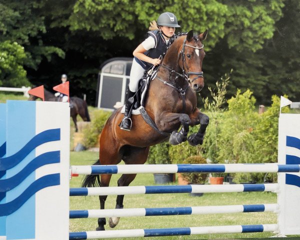 jumper Zaphira 10 (Holsteiner, 2007, from Cormint)