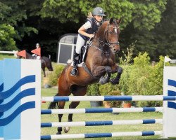 jumper Zaphira 10 (Holsteiner, 2007, from Cormint)