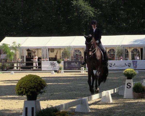 Reitturnier Solingen 2022