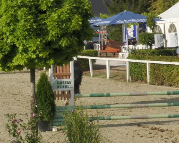 Reitturnier St.Wendel, Gestüt Welvert 2022