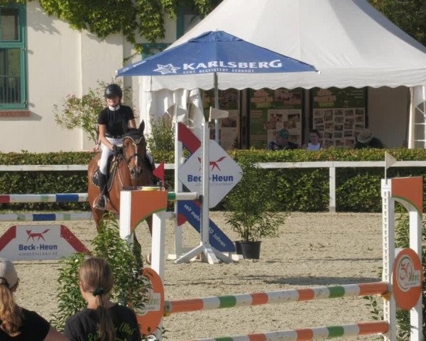 Reitturnier St.Wendel, Gestüt Welvert 2022