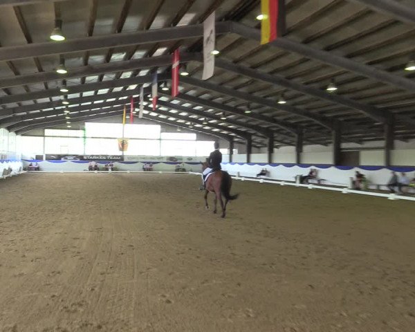 Reitturnier Münster-Albachten 2022