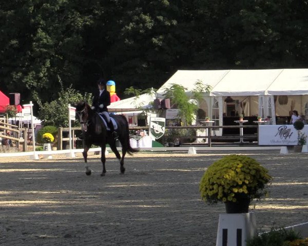 Reitturnier Solingen 2022