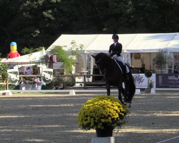 Reitturnier Solingen 2022