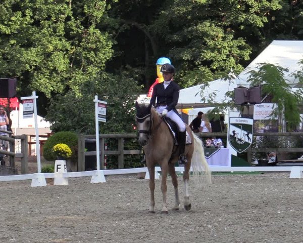 Reitturnier Solingen 2022