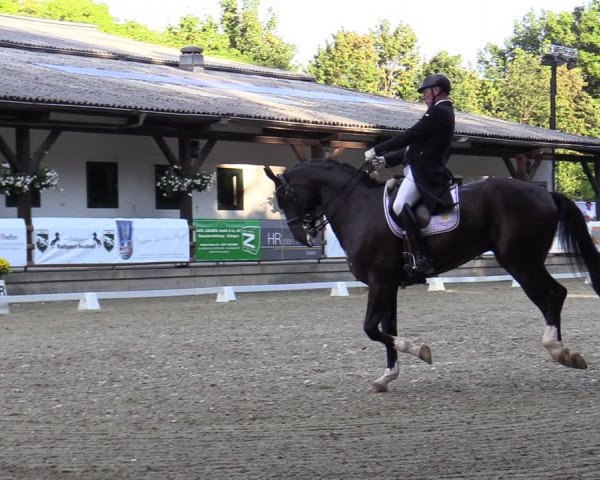 Reitturnier Solingen 2022