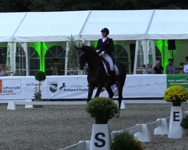 Reitturnier Solingen 2022