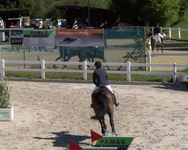 Reitturnier Hüntwangen 2022