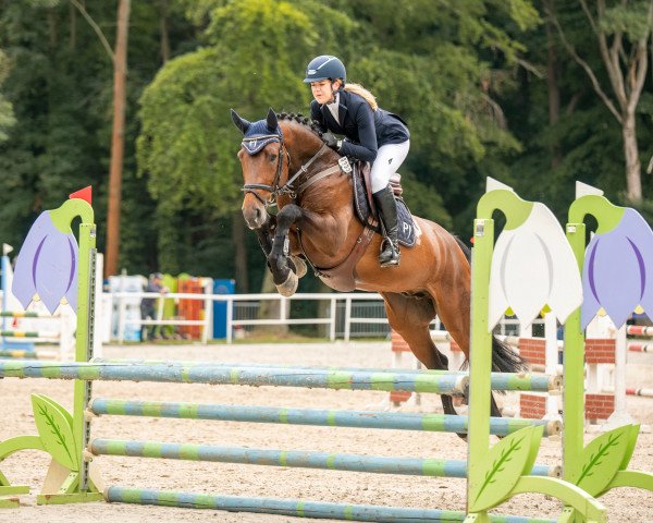 jumper Cooljo PJ (Hanoverian, 2016, from Colman)