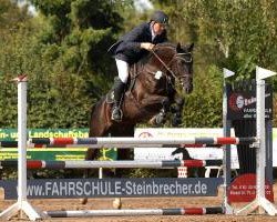 jumper Lakouro (Oldenburg show jumper, 2006, from Lake Tahoe)