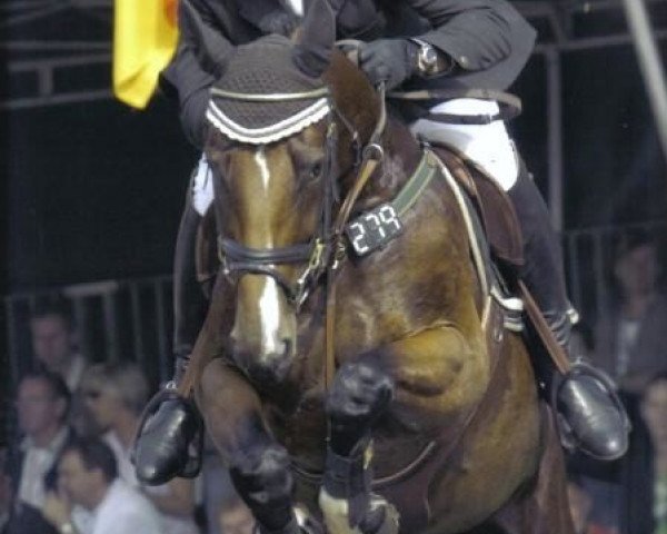broodmare Cordelia (Oldenburg, 2000, from Contender)