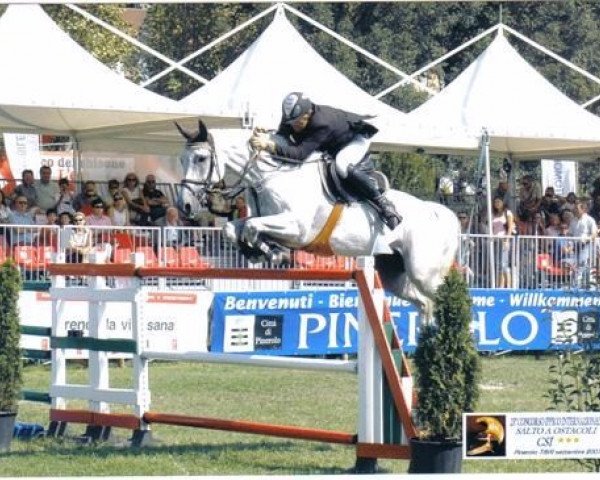 broodmare Calimera (Hanoverian, 1998, from Calido I)