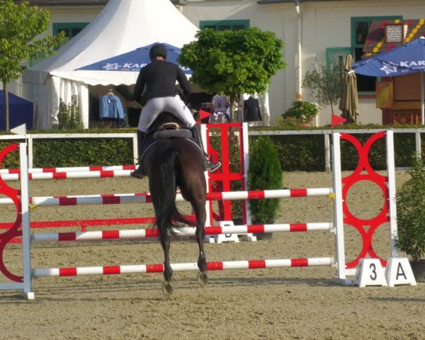Reitturnier St.Wendel, Gestüt Welvert 2022