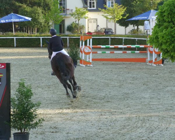 Reitturnier St.Wendel, Gestüt Welvert 2022