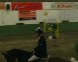 jumper Leo Löwenherz 3 (Westphalian, 2002, from Lupicor)