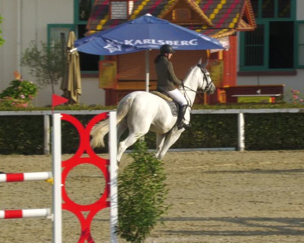 Reitturnier St.Wendel, Gestüt Welvert 2022