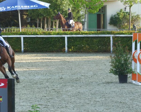 Reitturnier St.Wendel, Gestüt Welvert 2022