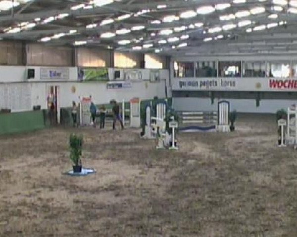 jumper Question 4 (Oldenburg show jumper, 2003, from Quebec)