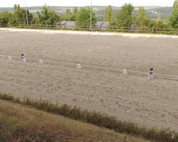Reitturnier Bübinger Hof 2022