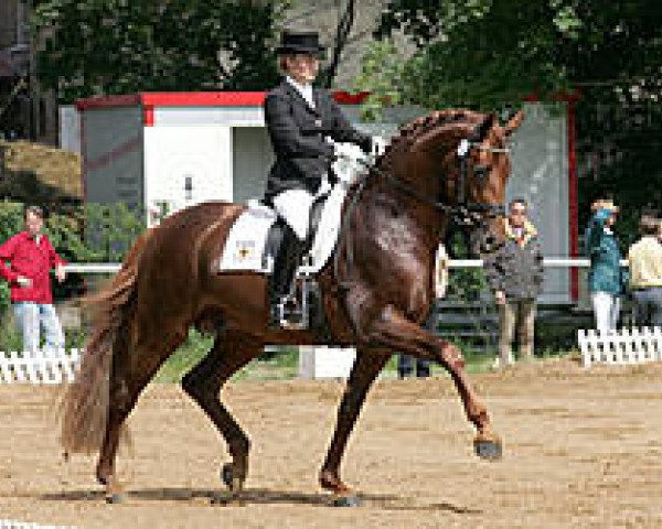dressage horse Deja vu (Württemberger, 2000, from Dr. Jackson D)