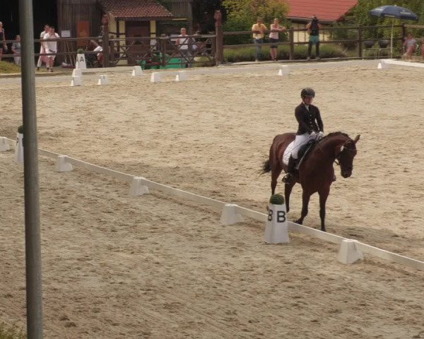 Reitturnier Bübinger Hof 2022