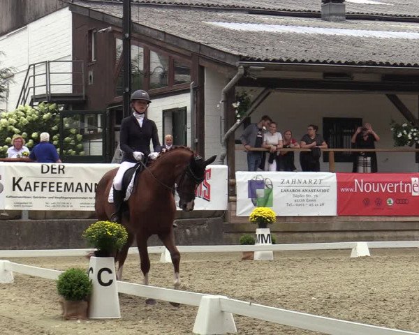 Reitturnier Solingen 2022