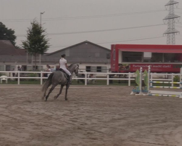Reitturnier Dortmund-Asseln 2022
