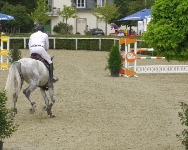 Reitturnier St.Wendel, Gestüt Welvert 2022