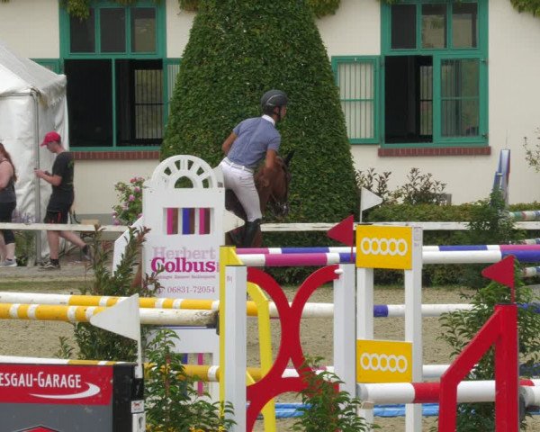 Reitturnier St.Wendel, Gestüt Welvert 2022